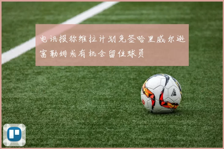 电讯报称维拉计划免签哈里威尔逊富勒姆或有机会留住球员